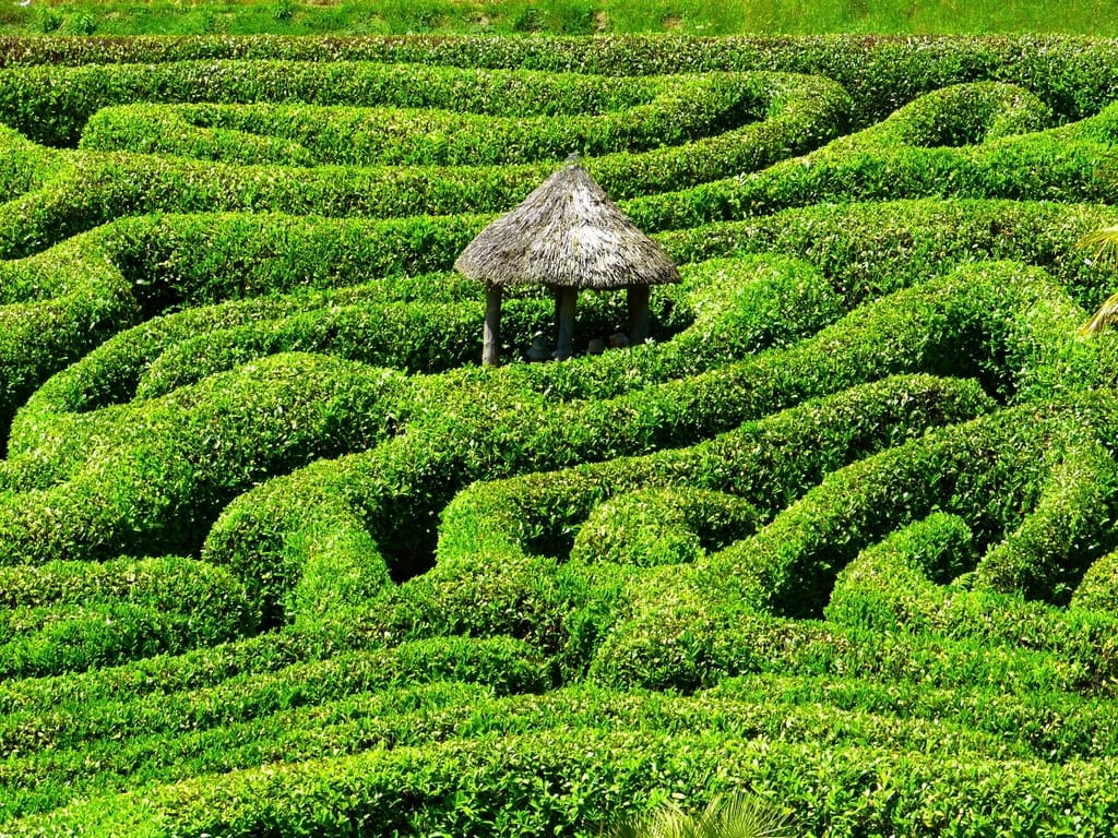 Grünes Heckenlabyrinth als Sinnbild für Umwege
